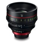 Canon CN-E 24mm T1.5 L F Cine Prime (EF)