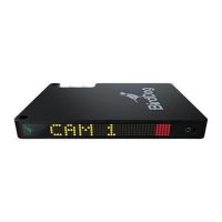 Bird Dog NDI Encoder/Decoder